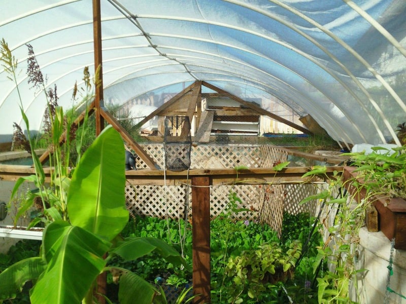 Integrated food-production system designed by Garden Pool
