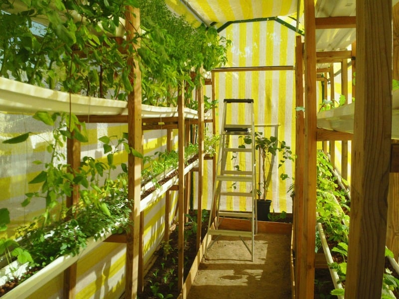 Vertical growing beds inside a Garden Pool greenhouse